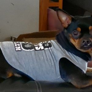 Meet your Posher, Shannon